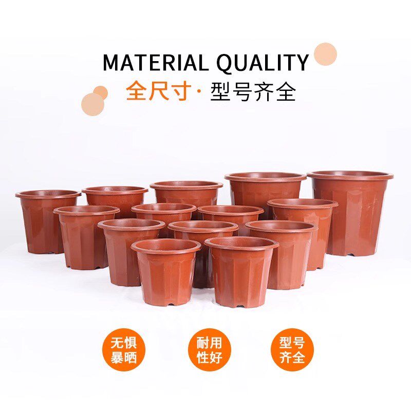 塑料花盆种植育苗盆营养杯加厚耐用园艺绿植盆多肉盆透气排水
