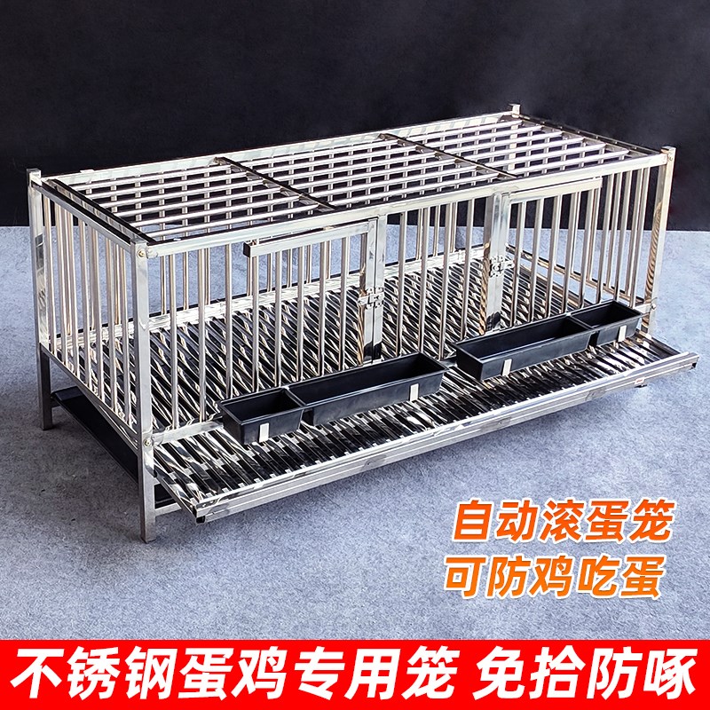 加厚不锈钢鸡笼子自动滚蛋笼家用蛋鸡笼鸡窝防鸡吃蛋防啄蛋养殖笼