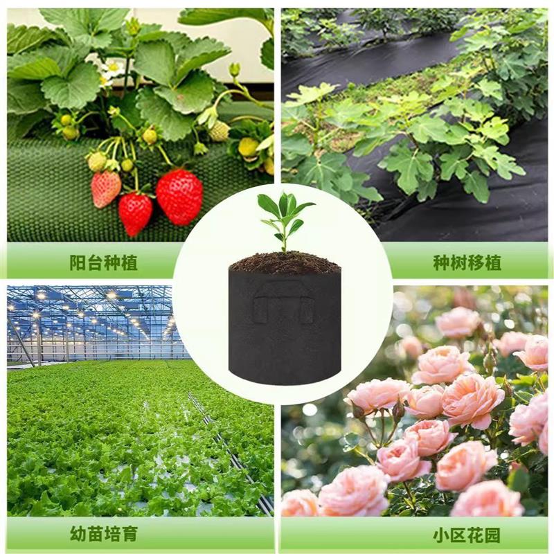 美植袋种植袋加厚无纺布植树袋苗圃阳台栽树移栽育苗盆家庭种植盆图片