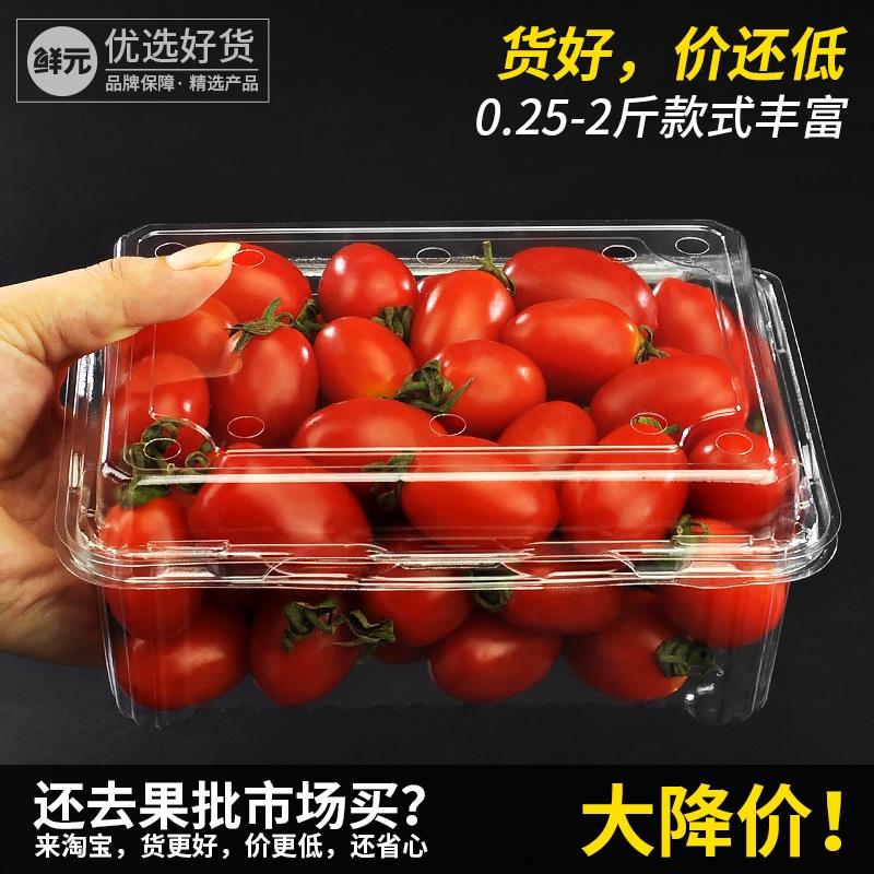 一斤装水果包装盒 一次性水果盒子 草莓盒 透明塑料500克樱桃盒