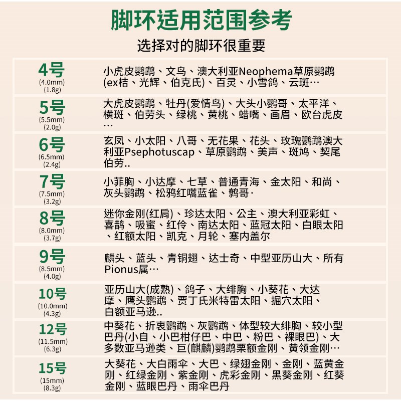 鹦鹉脚环卡针放飞不锈钢脚链超轻小太阳玄凤灰机鸟专用品大全刻字