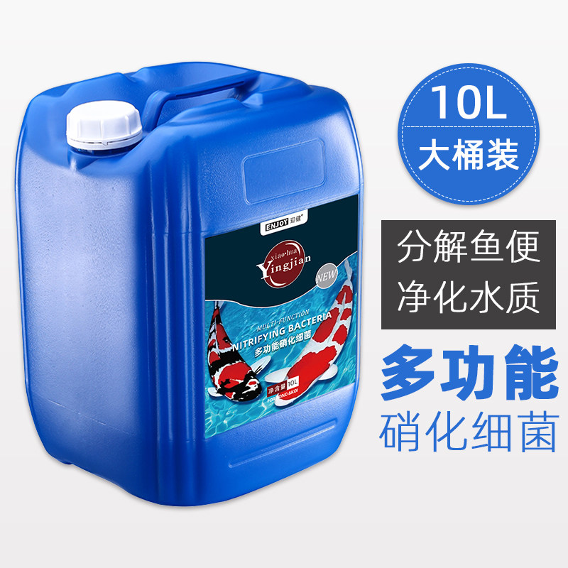 锦鲤鱼池硝化细菌鱼缸用硝化菌消化活菌养鱼清澈净水剂5L10升大桶