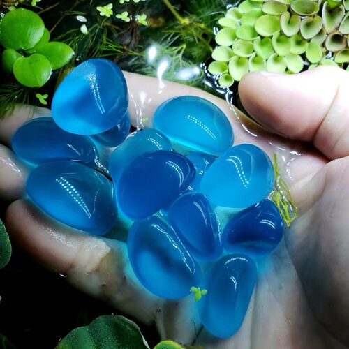 恐龙鱼缸底砂造景沙石头乌龟底沙水族箱装饰白沙子鹅卵石小石子