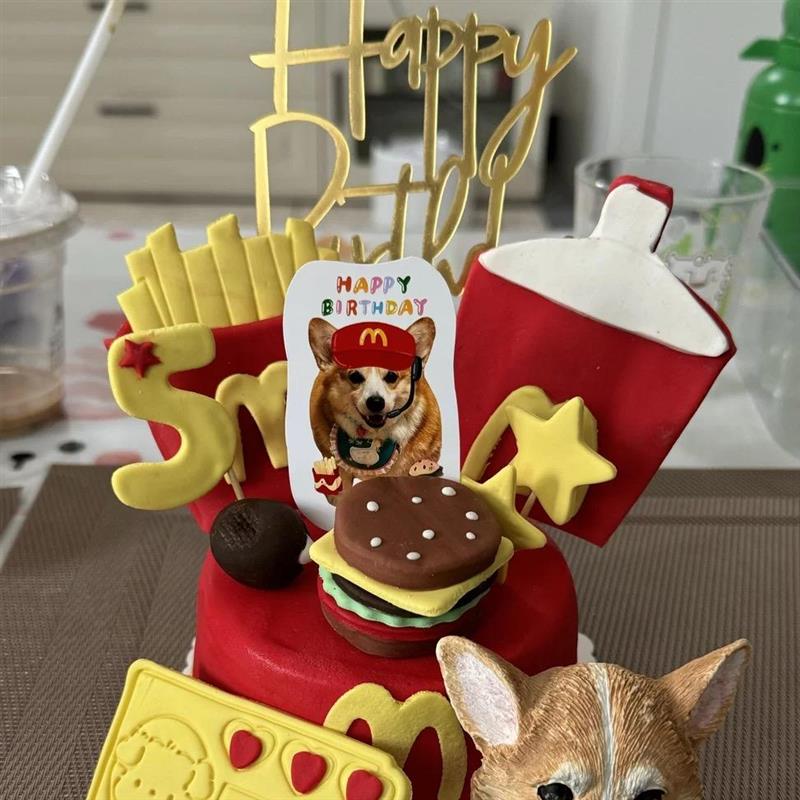 重庆制宠物狗生日蛋糕狗狗猫咪零食800g 狗零食250g便携包装