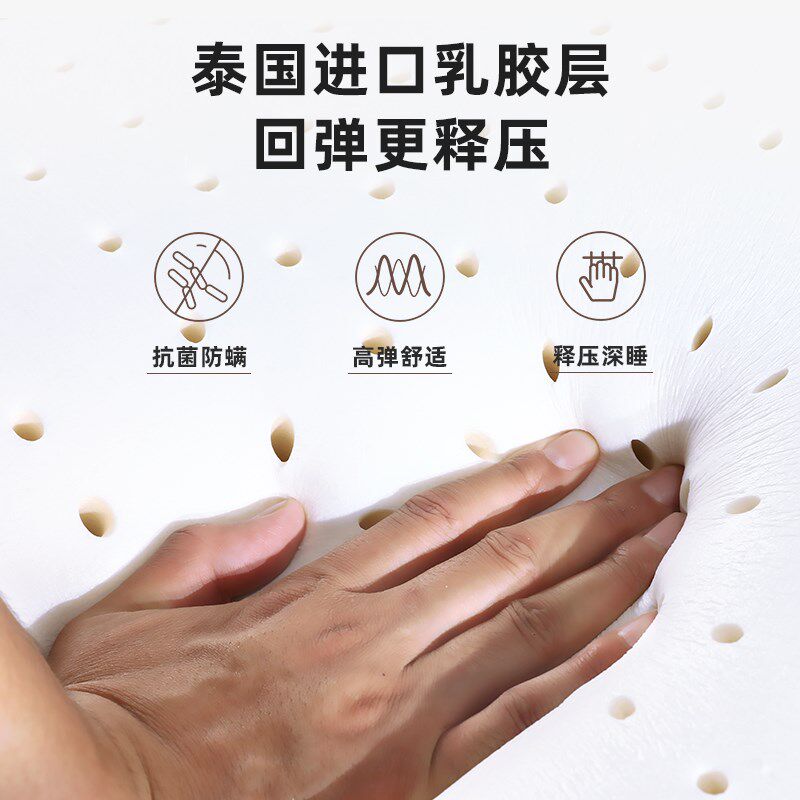 榻榻米垫子双面冬夏椰棕乳胶定制尺寸家用踏踏米床垫地炕垫子定做
