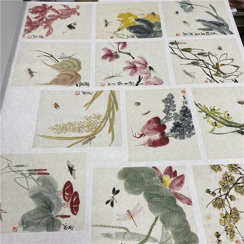 齐白石可惜无声花卉昆虫工笔画册页十二张微喷复制装饰画学习临摹