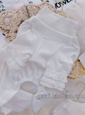 白色高领宠物打底衫百搭秋冬狗狗打底衣服泰迪约克夏猫咪两脚衣棉