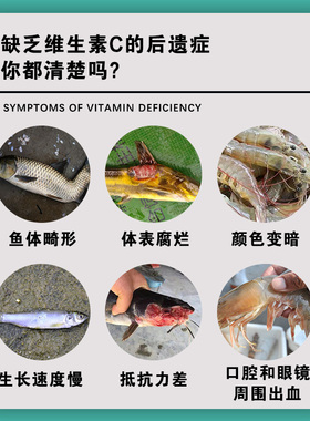 VC应激灵水产用抗应激VC应激宝鱼用电解多维生素水产养殖维生素C