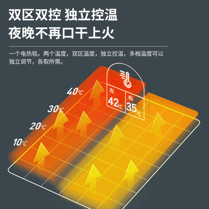 电热毯智能双控调温除螨加大安全家用电褥子单人双人可机洗