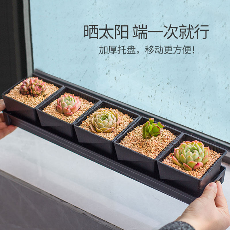 多肉花盆美莳加厚细长托盘窗台窄窗阳台接水盘百慕盆家用花架收纳