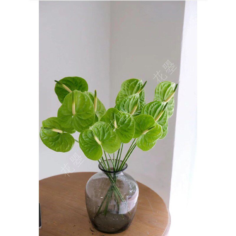 花曌 绿掌米多蕊掌鲜切花鲜花水养真花家居瓶插花餐桌面书桌插花