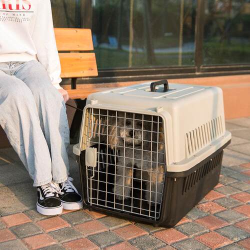 符合IATA标准的天窗款石墨灰宠物航空箱 猫狗便携外出笼 抗压耐磨