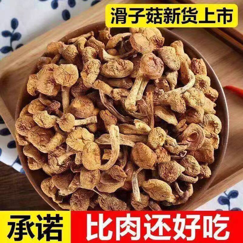 滑子菇蘑菇干货剪根菌菇特产非榛蘑菌菇小鸡炖蘑菇