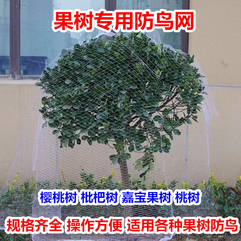 果树防鸟网罩水果嘉宝果葡萄樱桃无花果枇杷单棵专用遮树天网神器图片