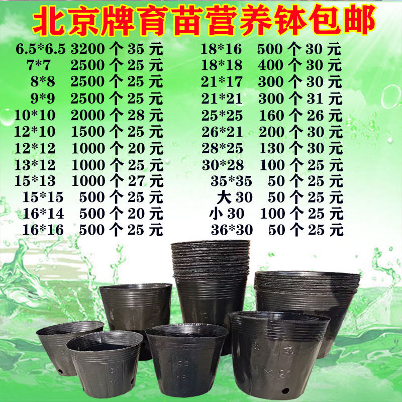 容器杯西瓜杯营养钵营养杯育苗杯黑色育苗袋一次性塑料扦插苗