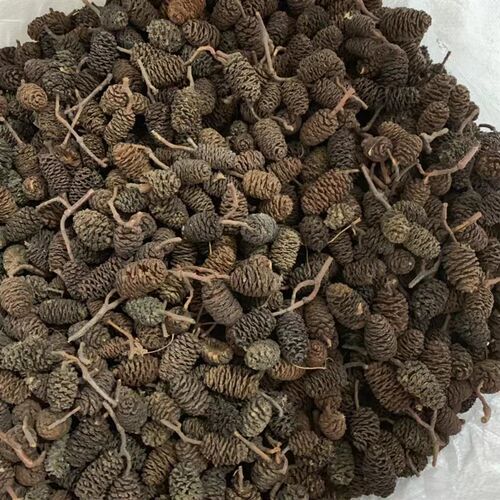 包邮松果装饰干花手工创意diy森林材料包家居装饰树枝鱼鳞果松塔