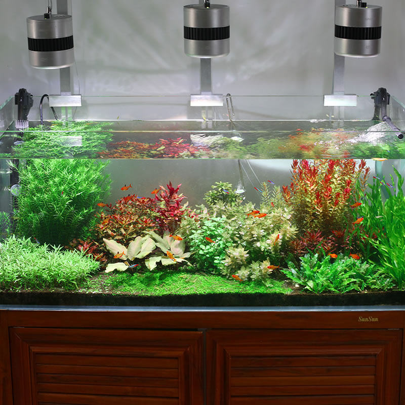 森森鱼缸过滤器净水循环三合一草缸过滤桶鱼缸过滤系统外置超静音