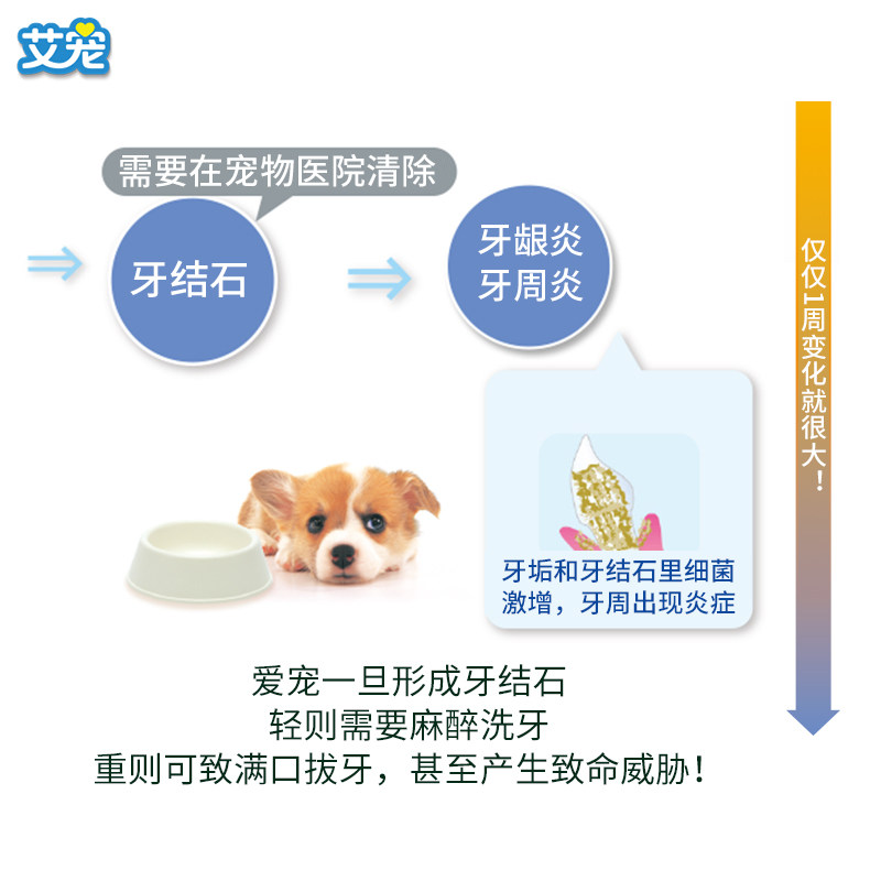 lion狮王宠物狗狗牙膏牙刷套装猫咪缓可食用解牙垢口腔臭清洁用品