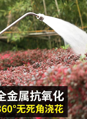 浇水喷头浇花神器喷雾花园家用浇菜长杆水枪育苗大棚兰花盆景洒水