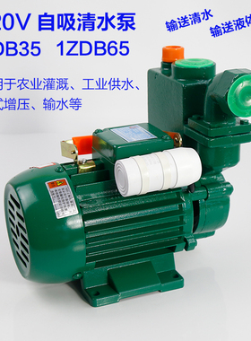 清水泵家用220v 广东凌霄家用增压泵 高扬程水泵自吸泵卧式离心式