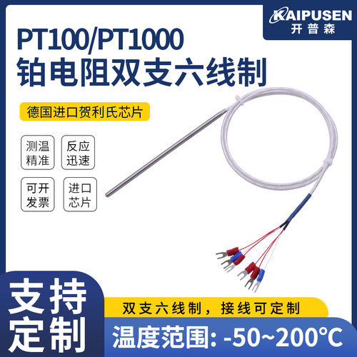 pt100铂热电阻防水双支热电阻六线制温度感测器WZPM2-001轴瓦测温