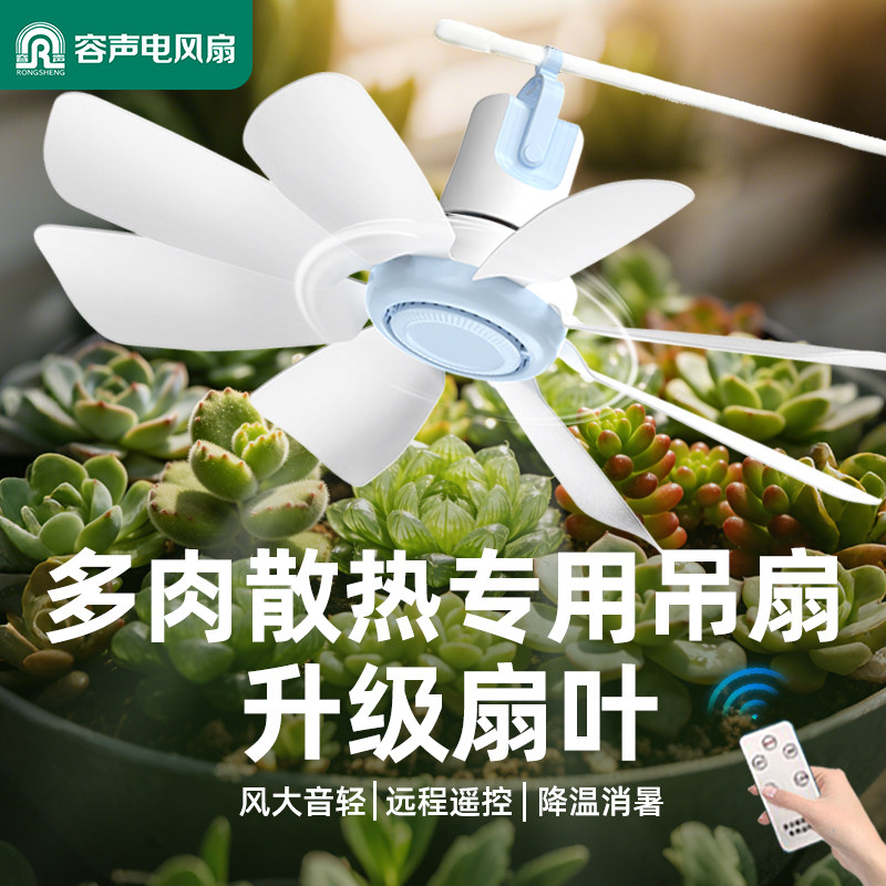 容声散热小吊扇户外多肉通风风扇植物宠物学生迷你室内降温吊扇