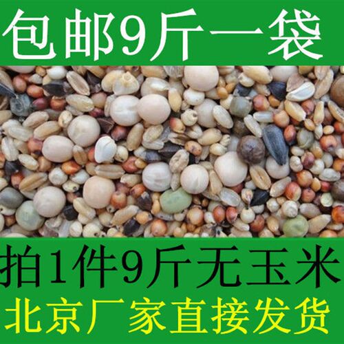 包邮鸽粮无玉米幼鸽饲料9斤一袋鸟食信鸽观赏鸽肉鸽粮保健砂