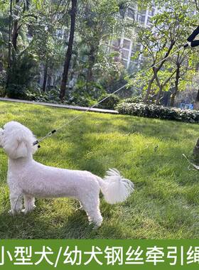 狗狗防咬牵引绳小型犬遛狗绳幼犬2斤3斤猫绳兔绳博美小体犬牵狗绳