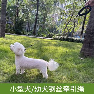 狗狗防咬牵引绳小型犬遛狗绳幼犬2斤3斤猫绳兔绳博美小体犬牵狗绳