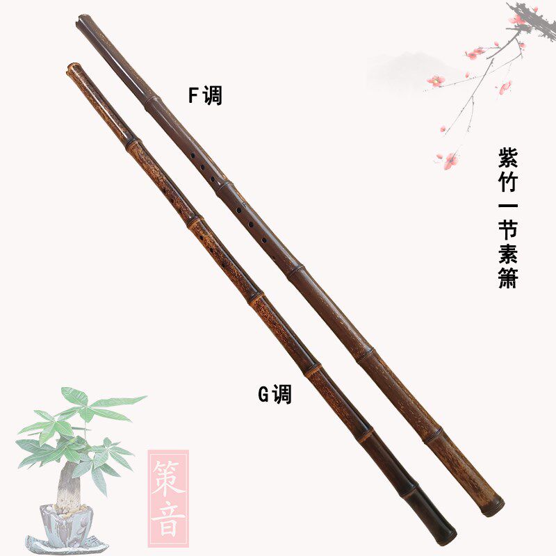 八孔洞箫国风乐器入门古风紫竹仿古初学演奏型古典三节单节素白铜