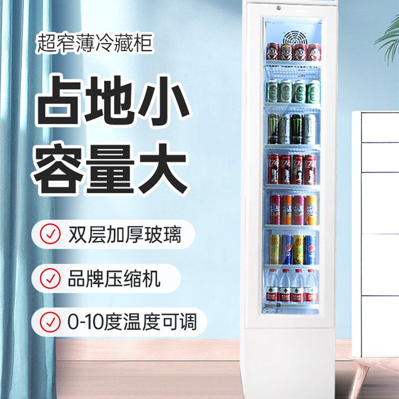 立式商用家用果蔬饮料茶叶冷藏展示单门柜迷你保鲜展示柜多型号
