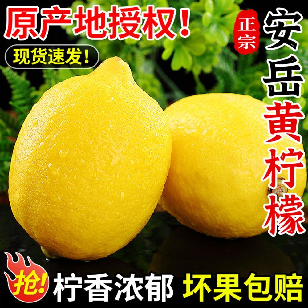 现摘黄柠檬新鲜当季水果皮薄多汁鲜果整箱批发泡水茶饮非香水柠檬