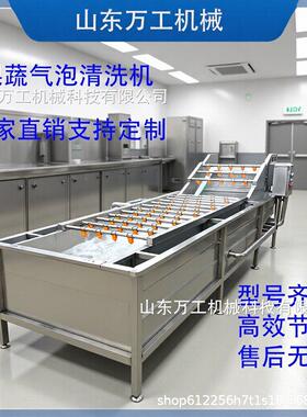商用气泡果蔬清洗机304叶菜小龙虾土豆莲藕毛滚清洗去皮根茎去泥
