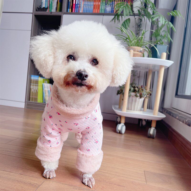 潮查利家泰迪比熊贵宾中小犬猫咪宠物狗加厚保暖包肚棉衣牵引冬装