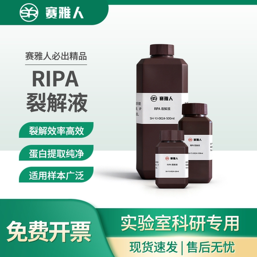 赛雅人RIPA裂解液蛋白裂解液