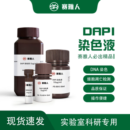DAPI 染色液 细胞核荧光染色试剂  细胞实验科研专用 含封片剂