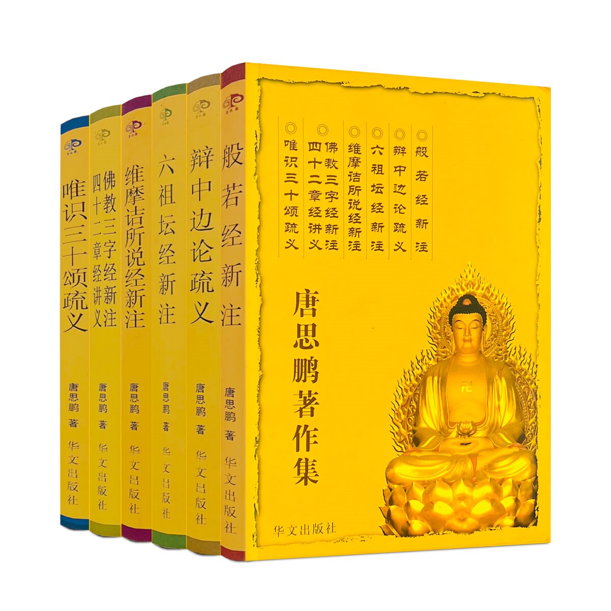 外观旧 唐思鹏著作集全六册 般若经新注 辩中边论疏义 六祖坛经新注 维摩诘经新注 佛教三字经新 注 四十二章经讲义 唯识三十颂疏图片