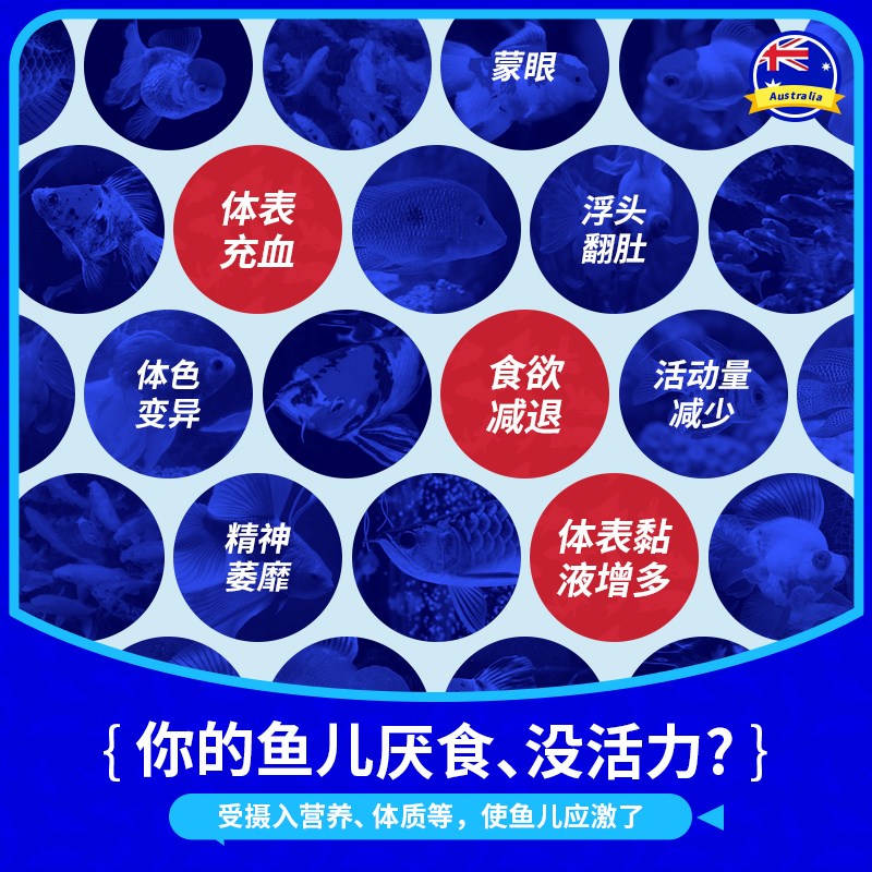 汤本臣鱼愈19号龙鱼活力营养液观赏鱼专用营养液水族鱼缸益生菌剂