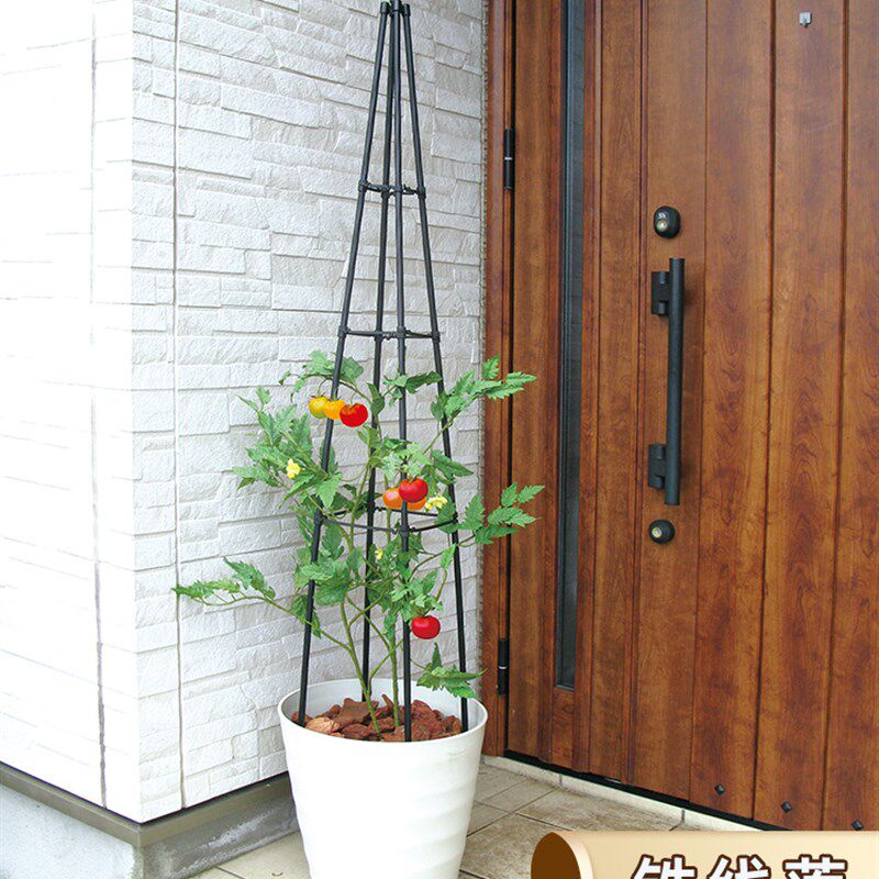 虹越种植铁线莲四角花塔型支架子花架爬藤架户外阳台爬藤月季支撑