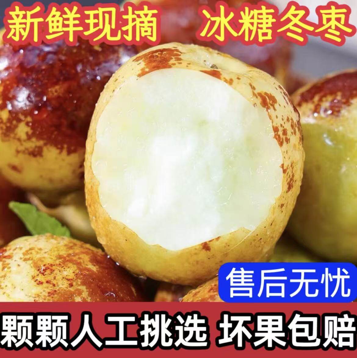 【顺丰/JD】正宗山东冰糖冬枣新鲜水果脆甜产地直发应季枣