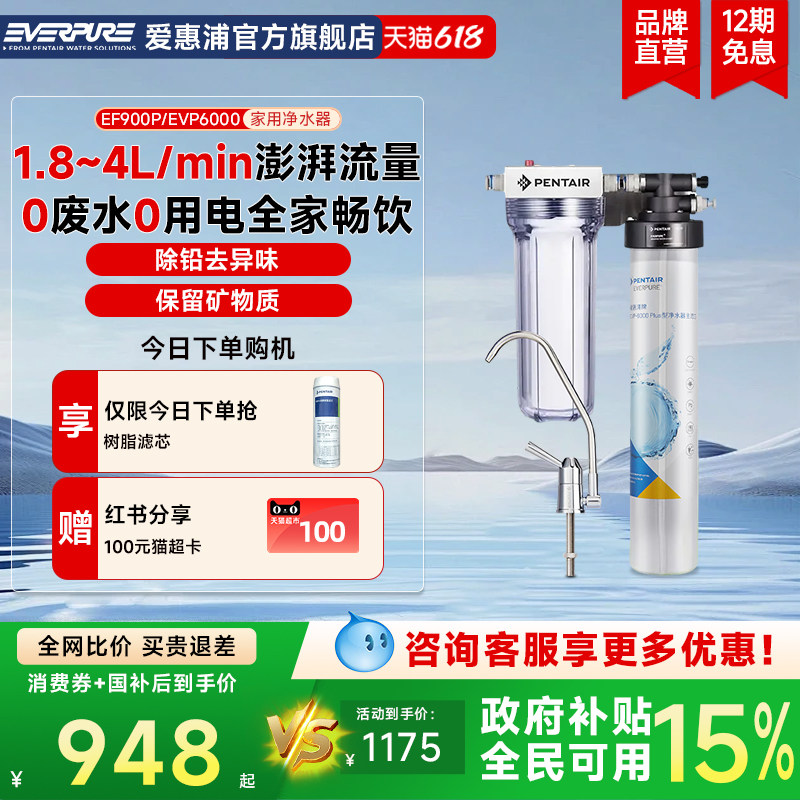 爱惠浦家用净水器厨房矿物质水过滤机除铅大流量EF900P/EVP6000