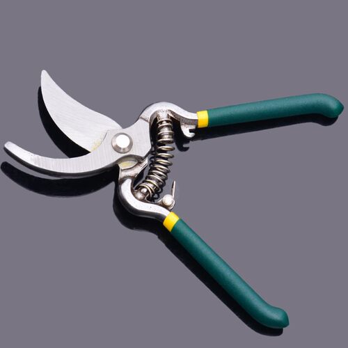 得威斯 园林绿化工具花剪树枝果树粗枝剪剪子果梨修枝剪园艺剪刀