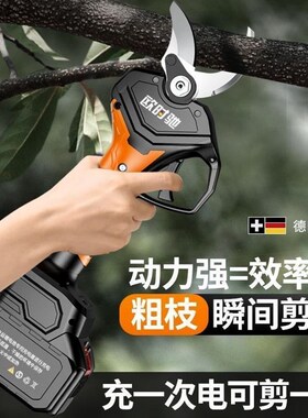 德国进口欧时驰电动剪果树修枝剪充电式园林锂电剪刀剪树枝电剪子