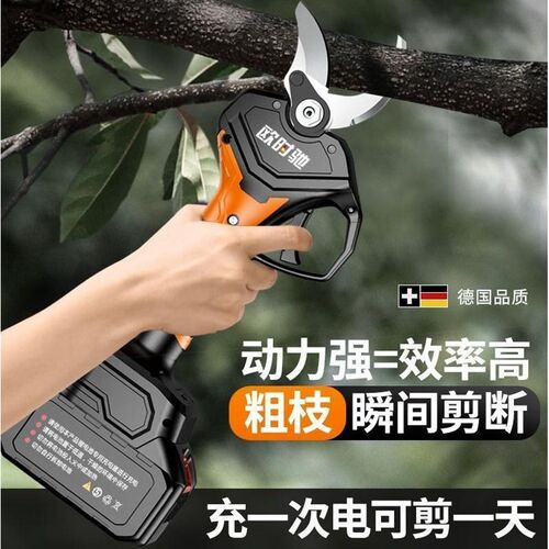 德国进口欧时驰电动剪果树修枝剪充电式园林锂电剪刀剪树枝电剪子