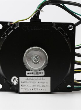 太平微特永磁同步电动机140TAST-01T2M44P杭州法维莱现代永大马达
