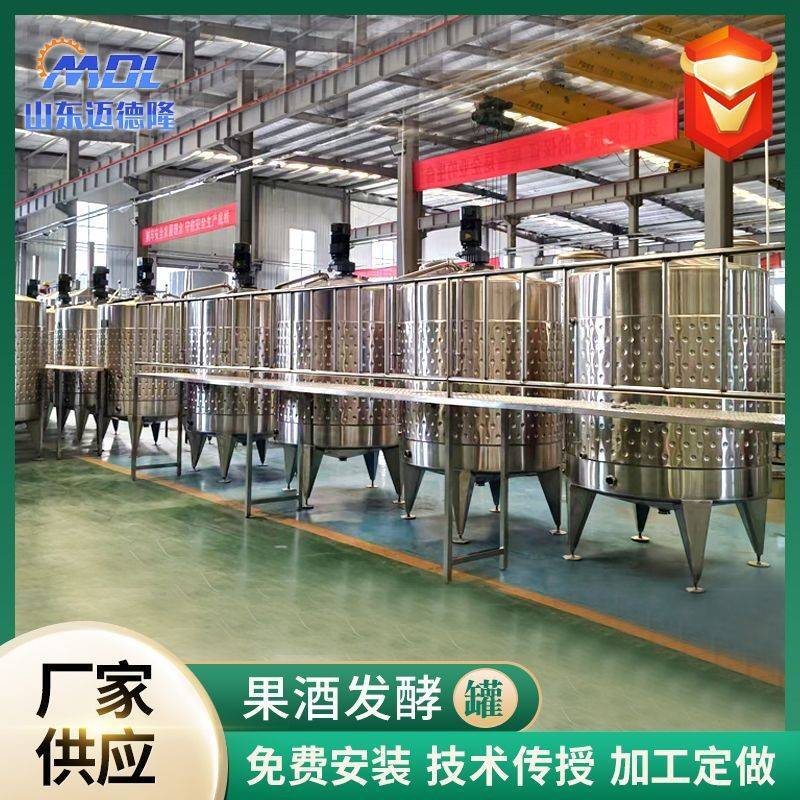 不锈钢葡萄酒发酵啤酒设备自酿啤酒机一体化酿酒果酒发酵