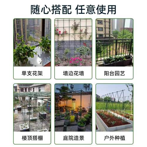 爬藤支葡萄架黄撑豆角架种菜花支架庭院花卉植P物架瓜杆西红柿架