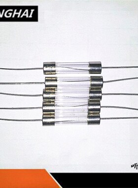 电磁炉保险丝玻璃管带引线脚5*20 6*30维修常用 10A12A15A20A250V