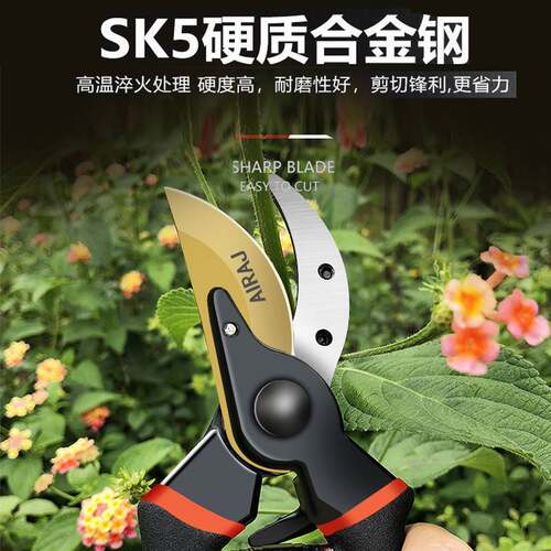 园艺剪刀修枝剪园林修剪果树修枝专用剪刀省力强力花艺修花剪刀