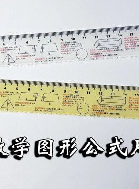 【下单立减50】原创学生数学图形公式直尺初中小学尺子辅助文具WZ
